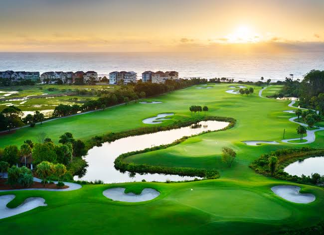 Palmetto Dunes callout