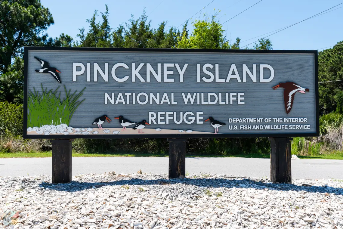 Things To Do Pinckney Island National Wildlife Refuge