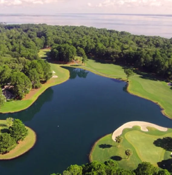 Things To Do Dolphin Head Golf Club