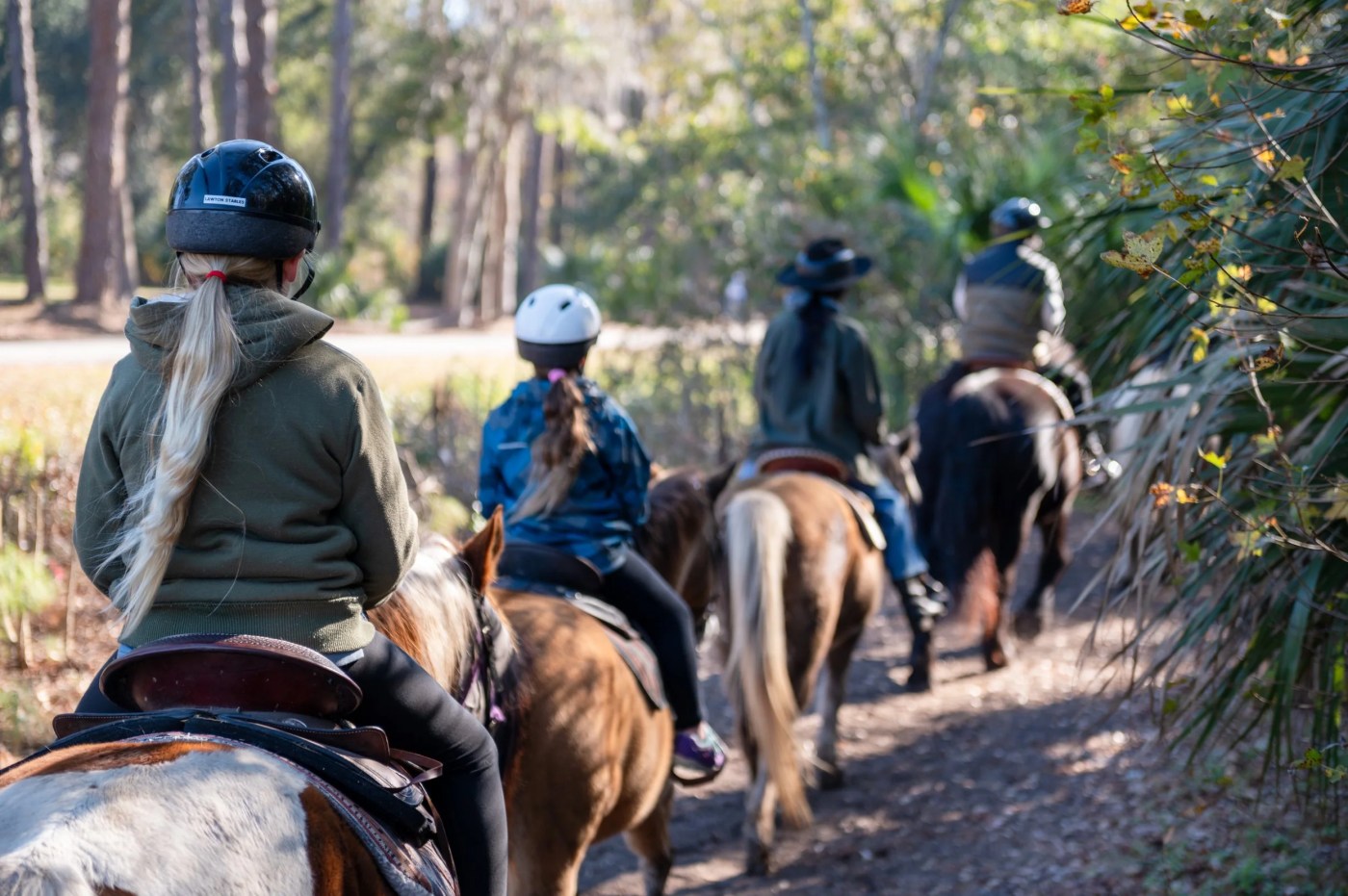 Things To Do Lawton Stables