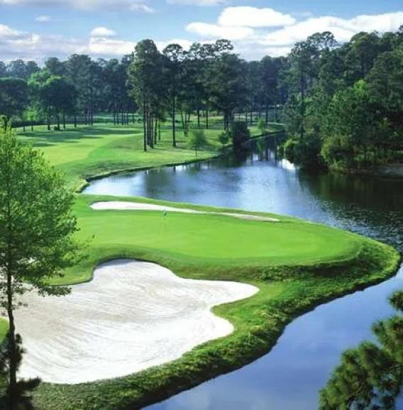 Things To Do Golden Bear Golf Club