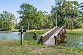 Things To Do Sea Pines Forest Preserve