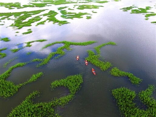 Thing To Do Family Friendly Activities