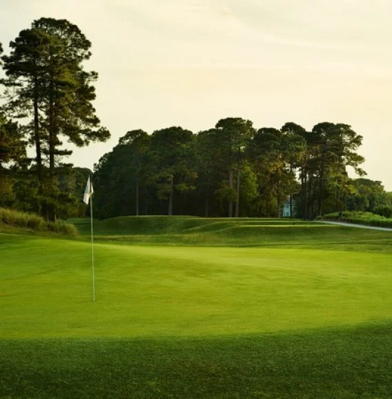 Things To Do Robert Cupp Course